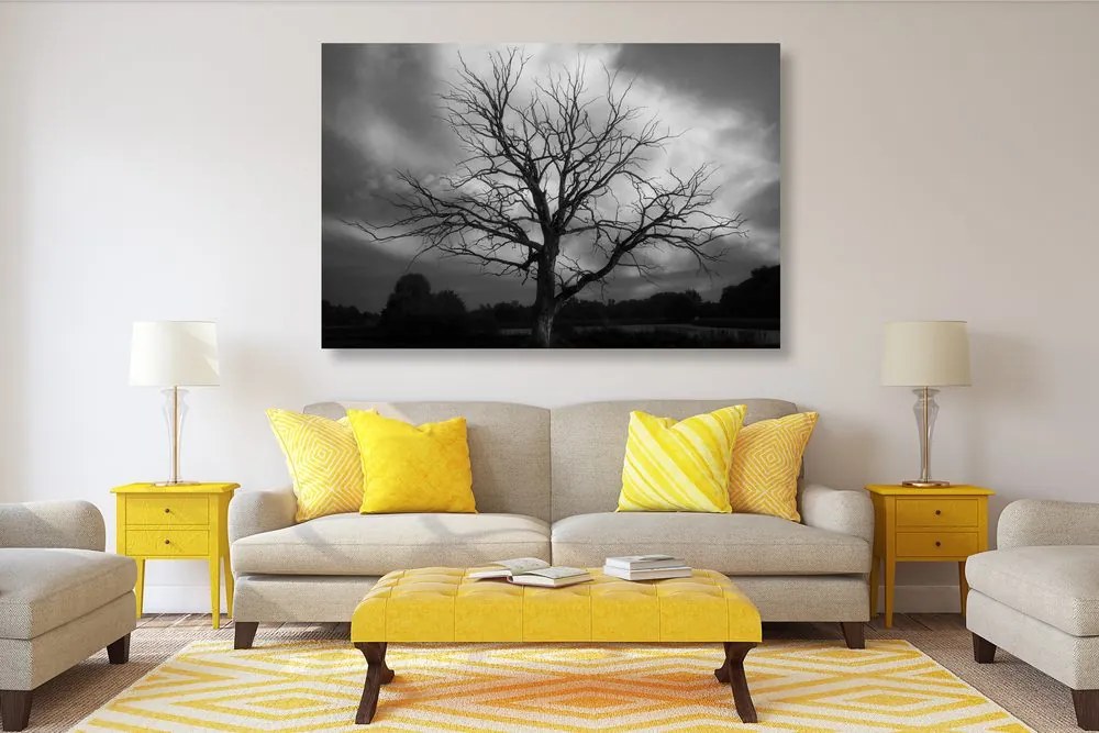 Quadro su tela – Albero sul prato in bianco e nero