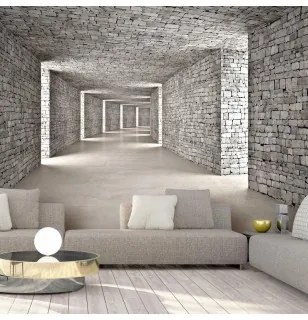 Carta da Parati 3D Tunnel Misterioso Standard 250x175