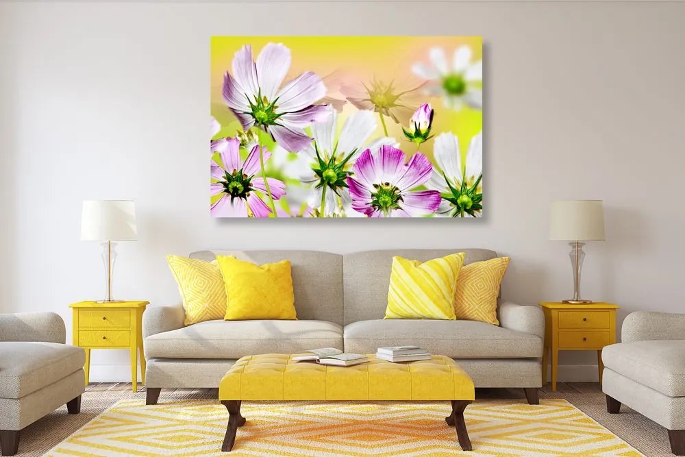 Quadro su tela – Fiori estivi