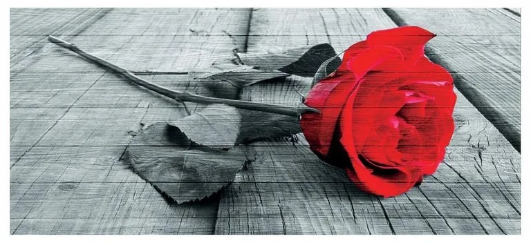 Stampa su legno Red rose, multicolore 110 x 50 cm