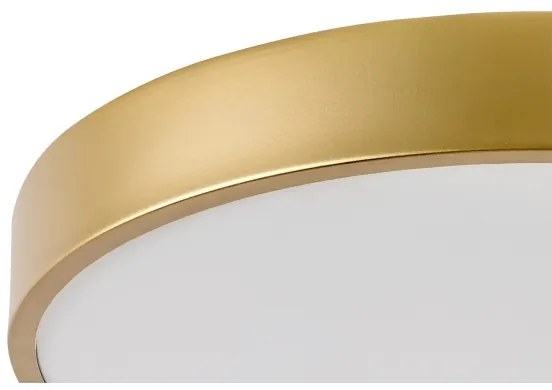 Rabalux 71037 - Plafoniera LED TESIA LED/36W/230V 3000K