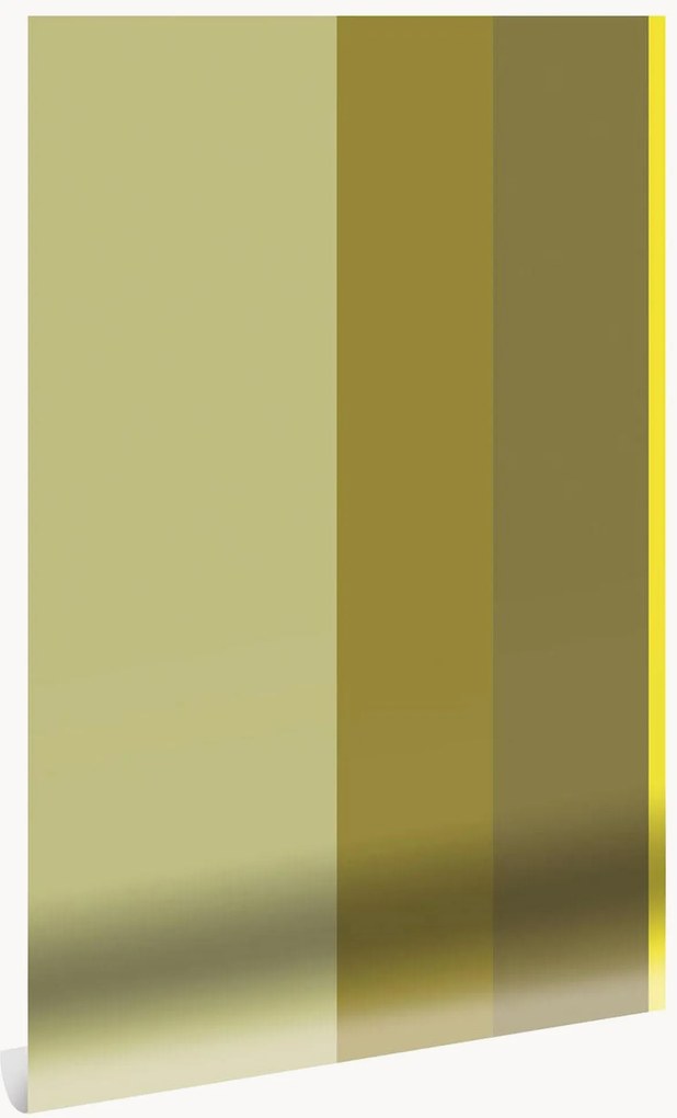 Carta da parati Frans Uyterlinde - Bold Stripes