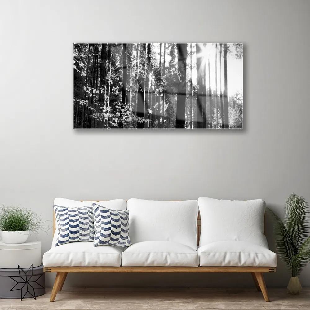 Quadro acrilico Alberi della natura della foresta 100x50 cm