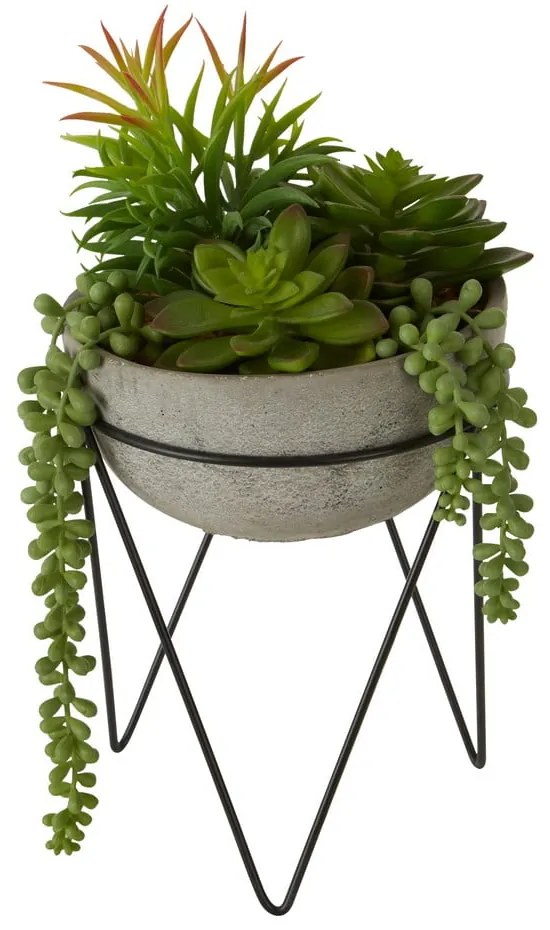 Succulenta artificiale (altezza 36 cm) Fiori - Premier Housewares