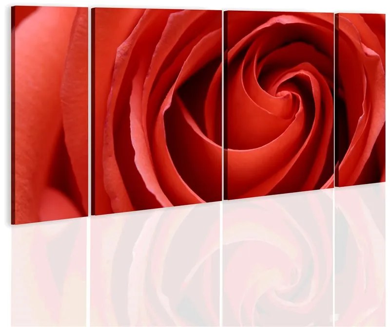 Quadro Passionate rose  Colore Rosso, Dimensioni e Misure 60x30