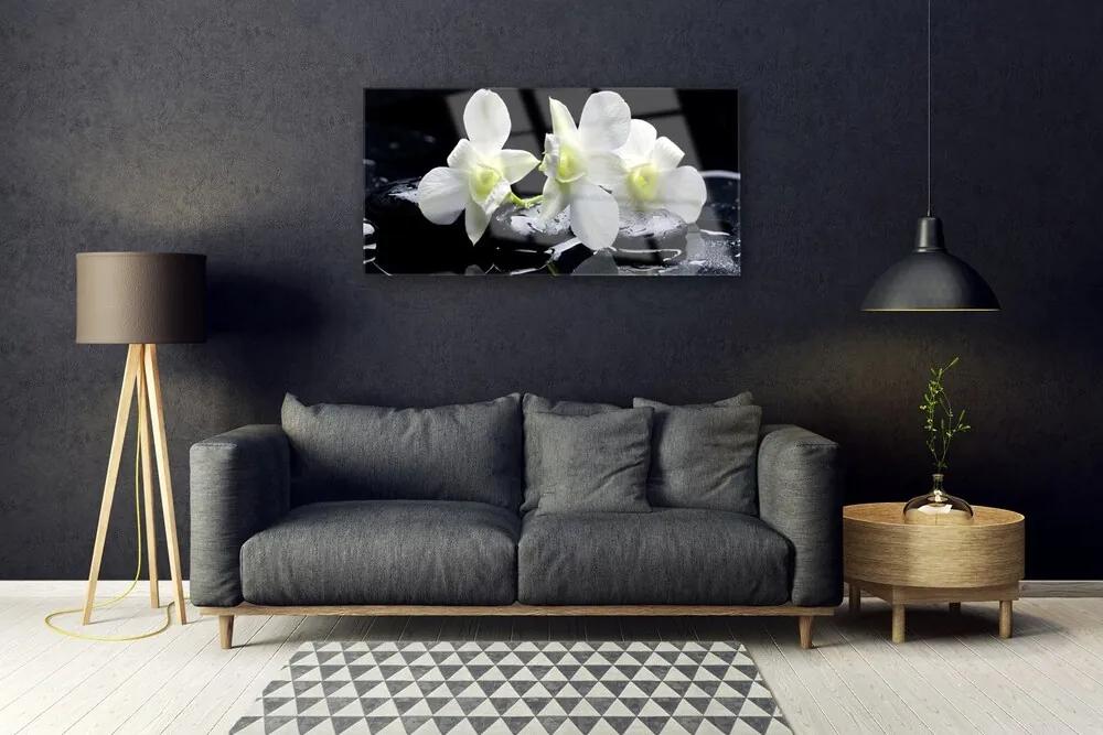 Quadro in vetro acrilico Fiore di orchidea bianca 100x50 cm