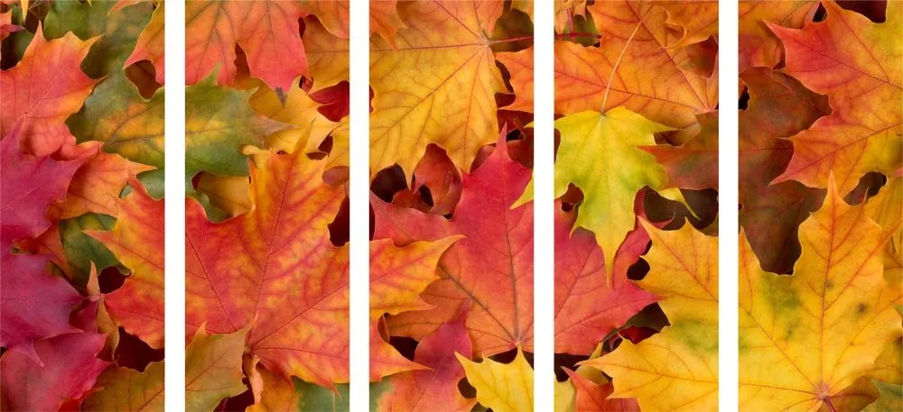 Quadri 5 pezzi – Foglie d'autunno