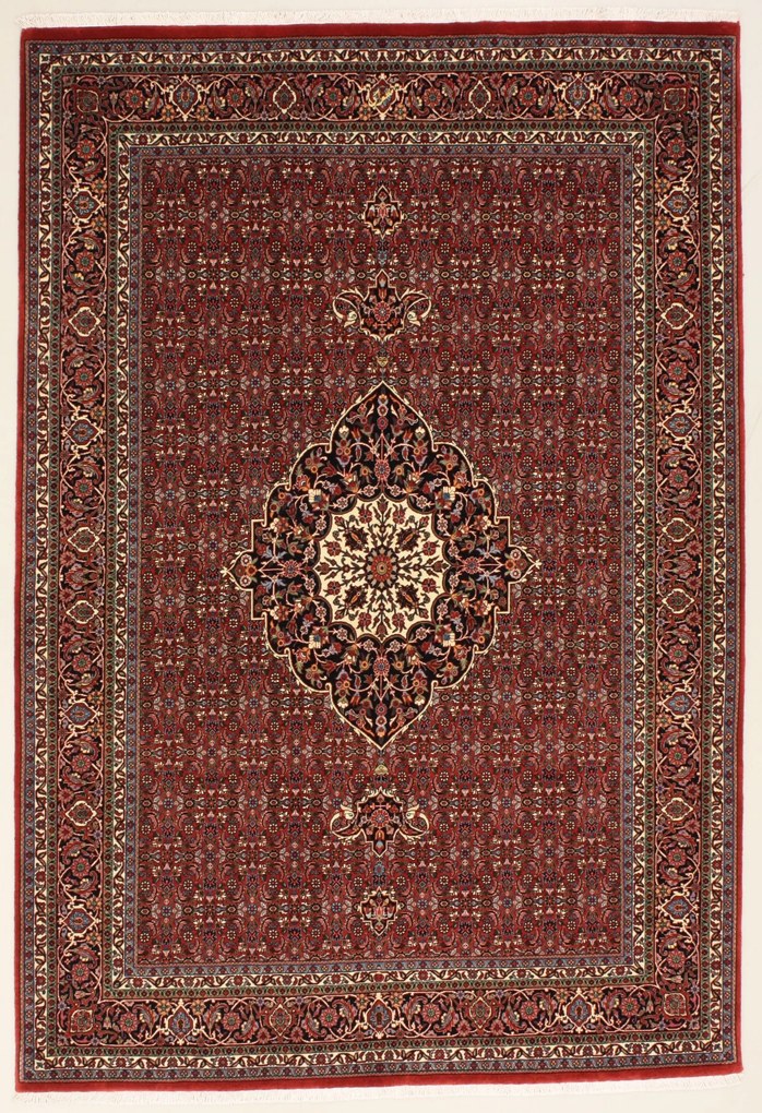 Bidjar Tappeto 170 x 250 (Iran) Annodato A Mano