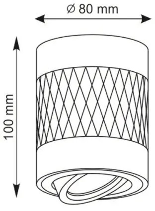 Luce Spot RUBIN 1xGU10/10W/230V bianco
