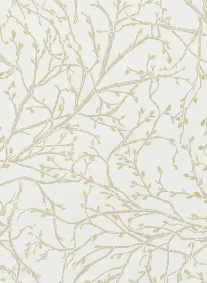 Tapete Twiggy v. Osborne & Little - Ivory / Stone / Gold