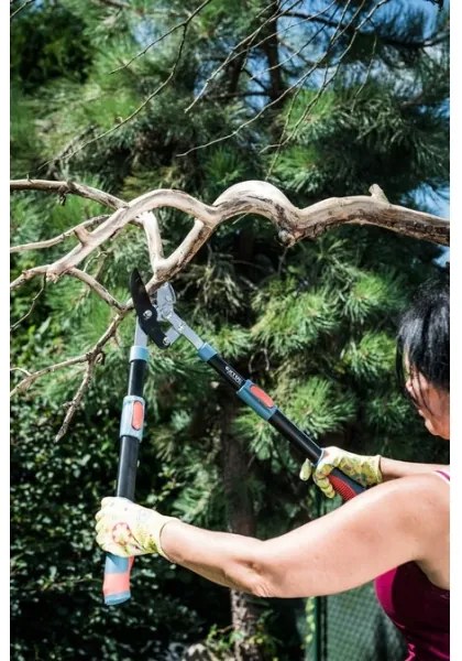 Extol Premium - Cesoia telescopica con trasmissione a incudine per rami 670-940 mm