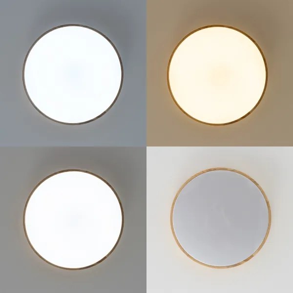 Brilagi - Plafoniera dimmerabile a LED PINE LED/24W/230V + telecomando