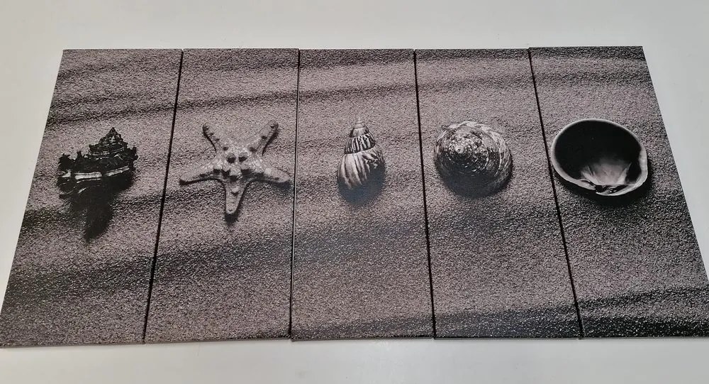 Quadri 5 pezzi – Conchiglie sulla spiaggia sabbiosa in bianco e nero