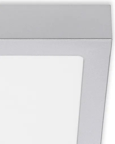 Briloner 7123-414 - Plafoniera LED FIRE LED/12W/230V argento