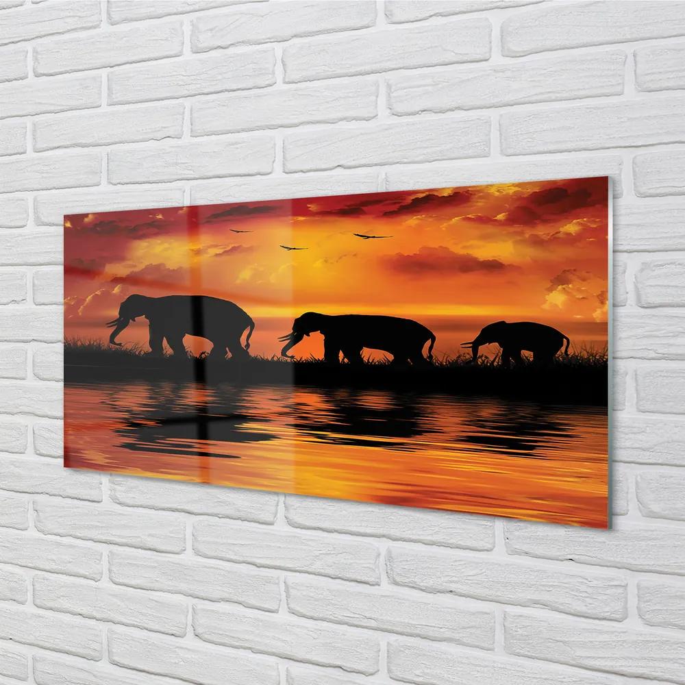 Pannello paraschizzi cucina Elefanti del lago al tramonto 100x50 cm