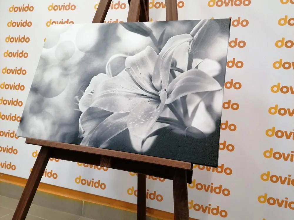 Stampa su tela – Fiore di giglio su sfondo astratto in bianco e nero
