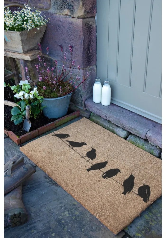 Zerbino in fibre di cocco 60x90 cm Birds On a Wire – Artsy Doormats