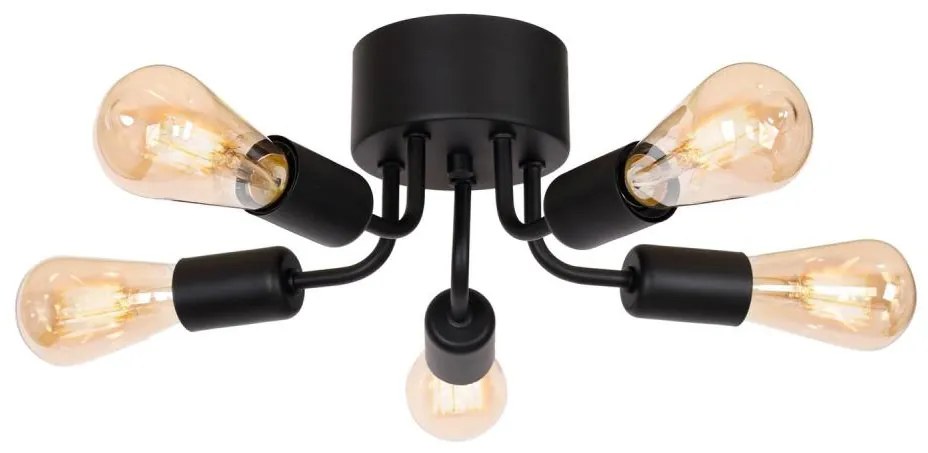 Lampadario a plafone BRENDA 5xE27/60W/230V nero