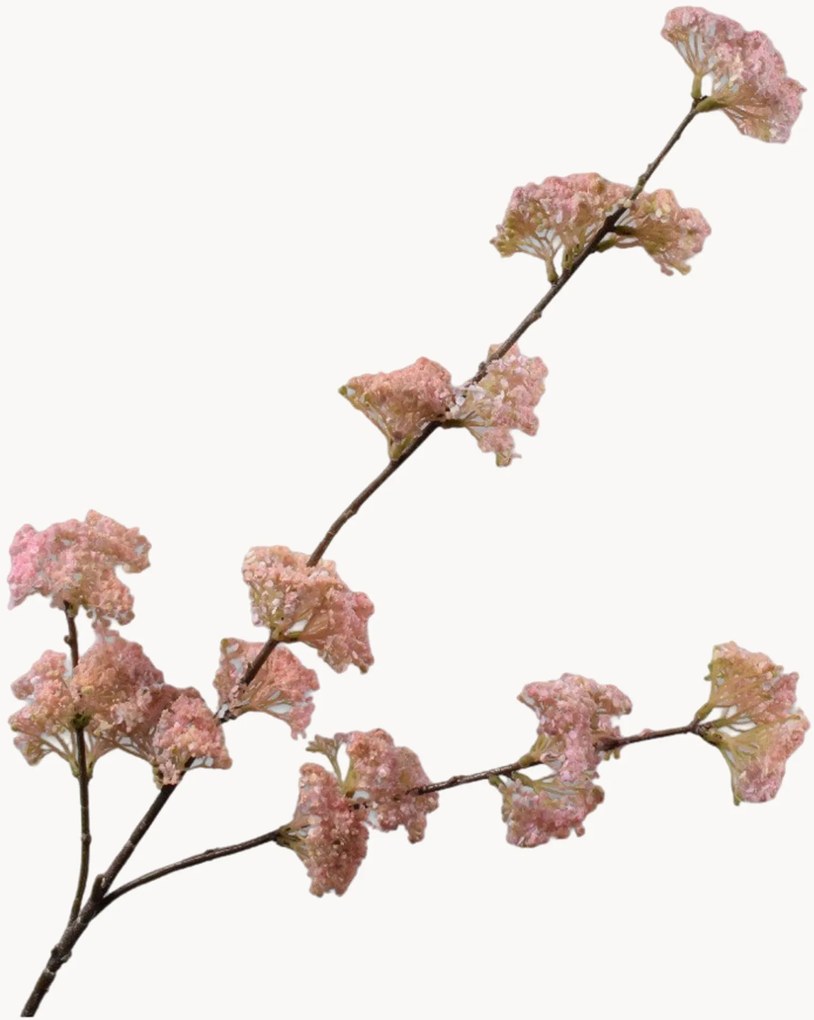 Ramo Dill Branch