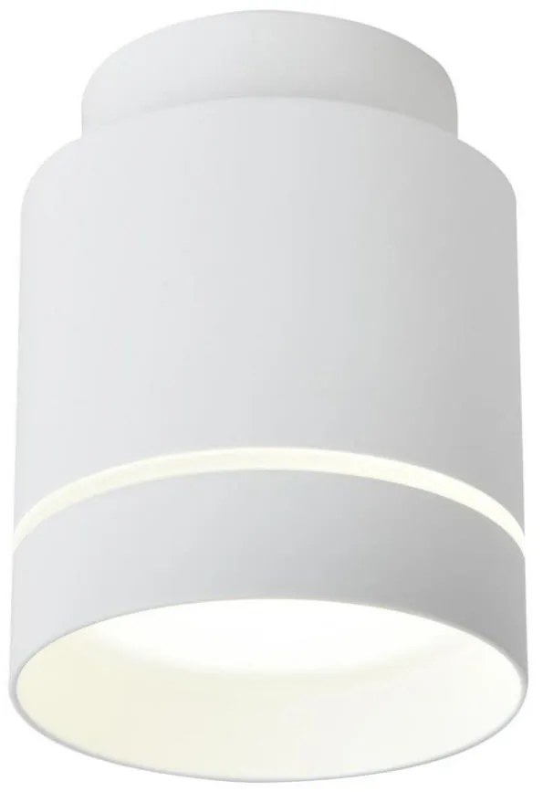 Plafoniera LED TUBA LED/12W/230V