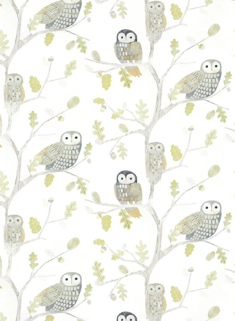 Harlequin Tapete Little Owls - Kiwi