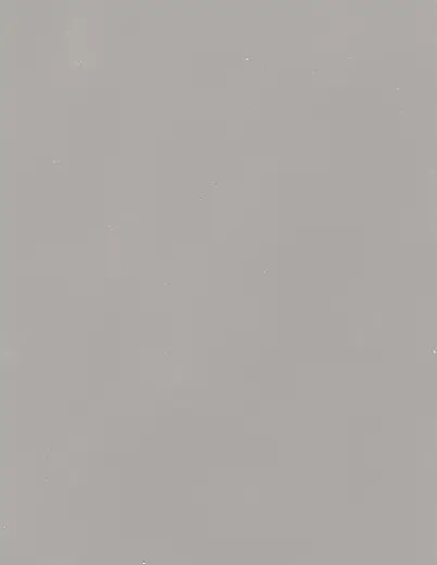 Terrastone Rustique floor - 15kg - 63 - beton2 - 15 kg