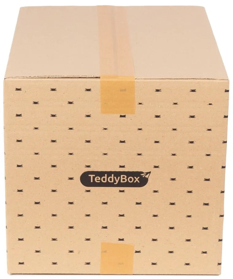 Set di 2 scatole portaoggetti beige Teddy, 42 x 30 cm - Compactor