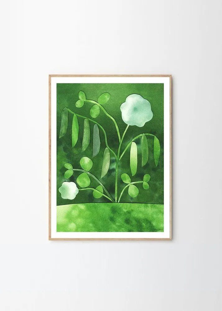 Poster 50x70 cm Peas in Bloom – Anna Ravn Bjørn – The Poster Club