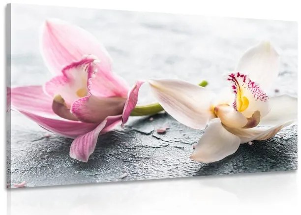 Stampa su tela – Due fiori colorati di orchidea