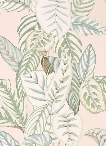 Sanderson Carta da parati Calathea - Orchid/ Eucalyptus