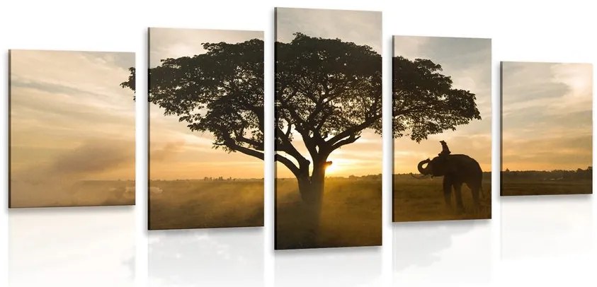 Quadri 5 pezzi – Elefante all'alba