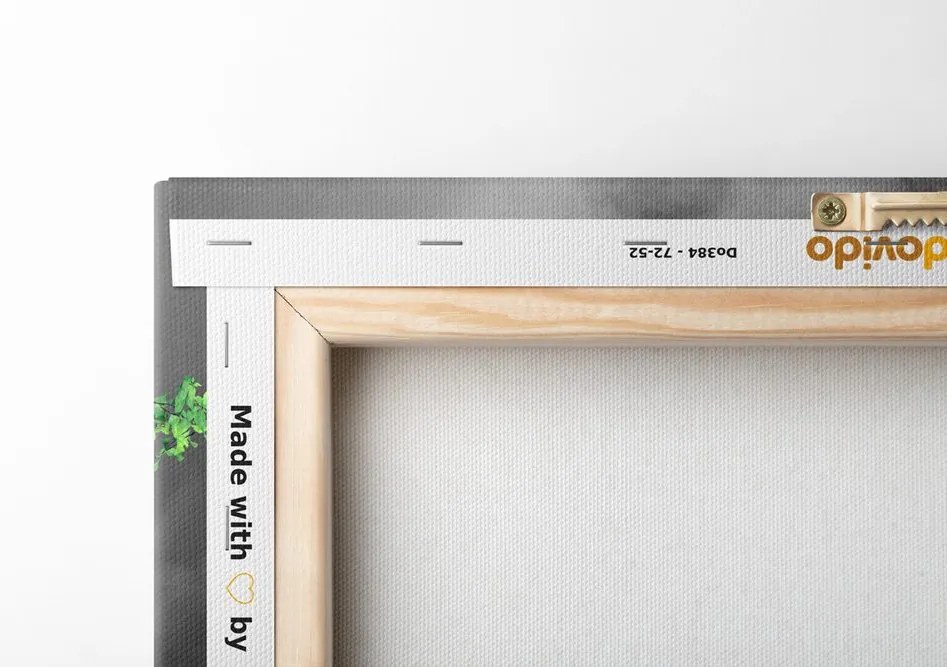 Quadro su tela – Cavallo in design unico