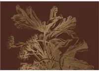 KEK Amsterdam Wandbild Engraved Flowers Gold 5 - XL