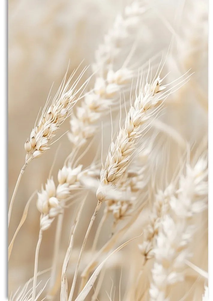 Quadro su tela – Steli di grano