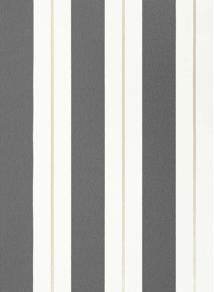 Osborne & Little Carta da parati Bramante Stripe - Charcoal