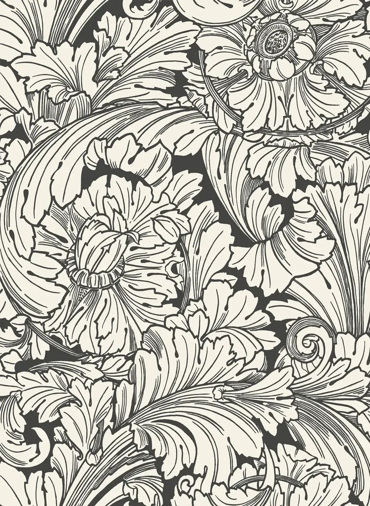 Cole & Son Carta da parati Acanthus - Soot & Snow