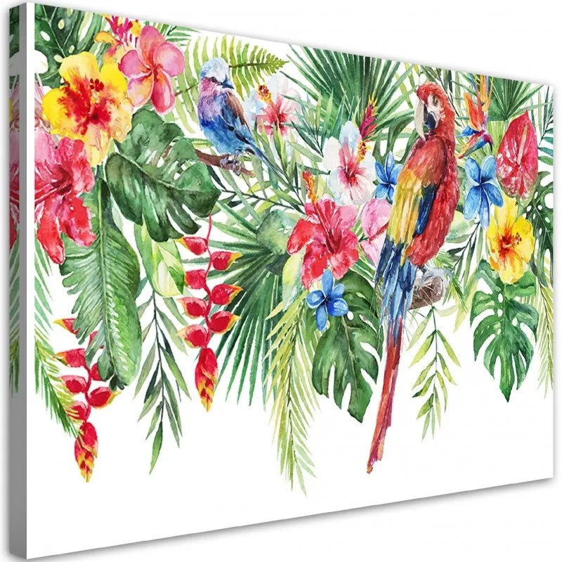 Quadro su tela, Foglie di fiori di pappagalli tropicali  Dimensioni 100x70