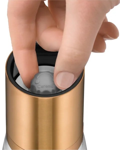 WMF - SET 2x Macina spezie DE LUXE rame