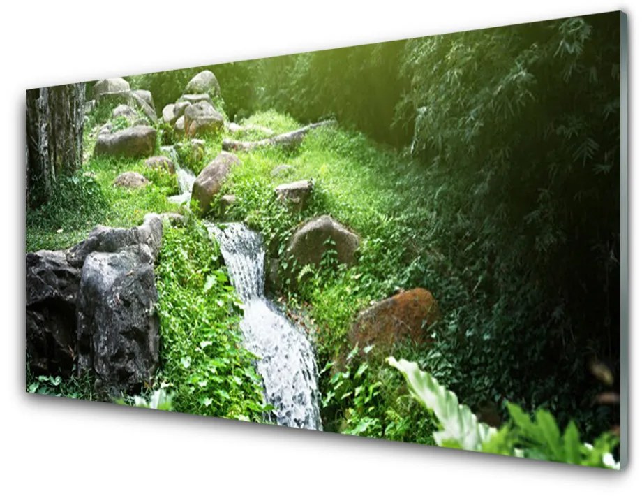 Quadro su vetro Impianto naturale di Grass Creek 100x50 cm