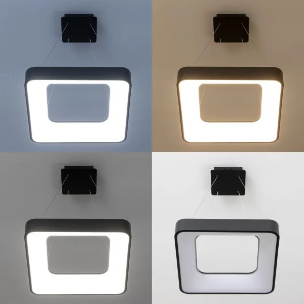 Brilagi - Lampada LED dimmerabile sospesa a cavo FALCON II LED/80W/230V 40x40 cm nero + telecomando