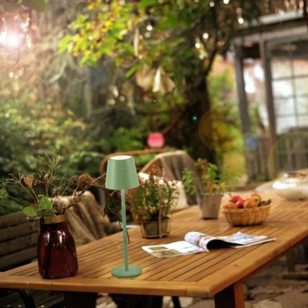 Leuchten Direkt 19250-43 - LED Lampada ricaricabile da esterno EURIA LED/3W/5V IP54