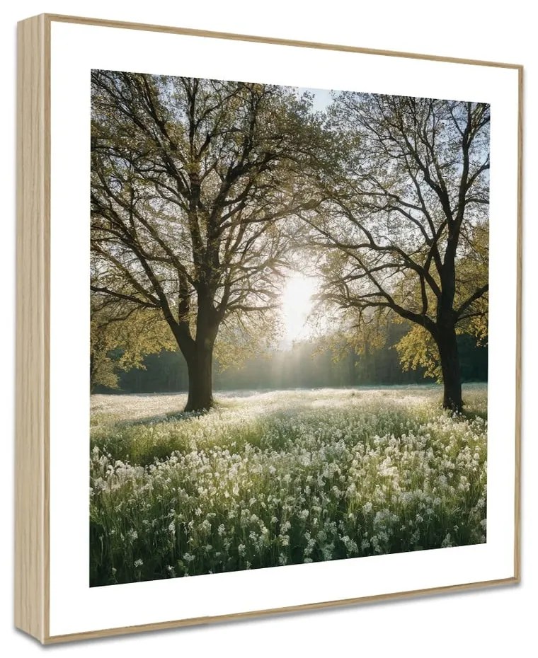 Quadri in set di 4 30x30 cm Sunrise Hike