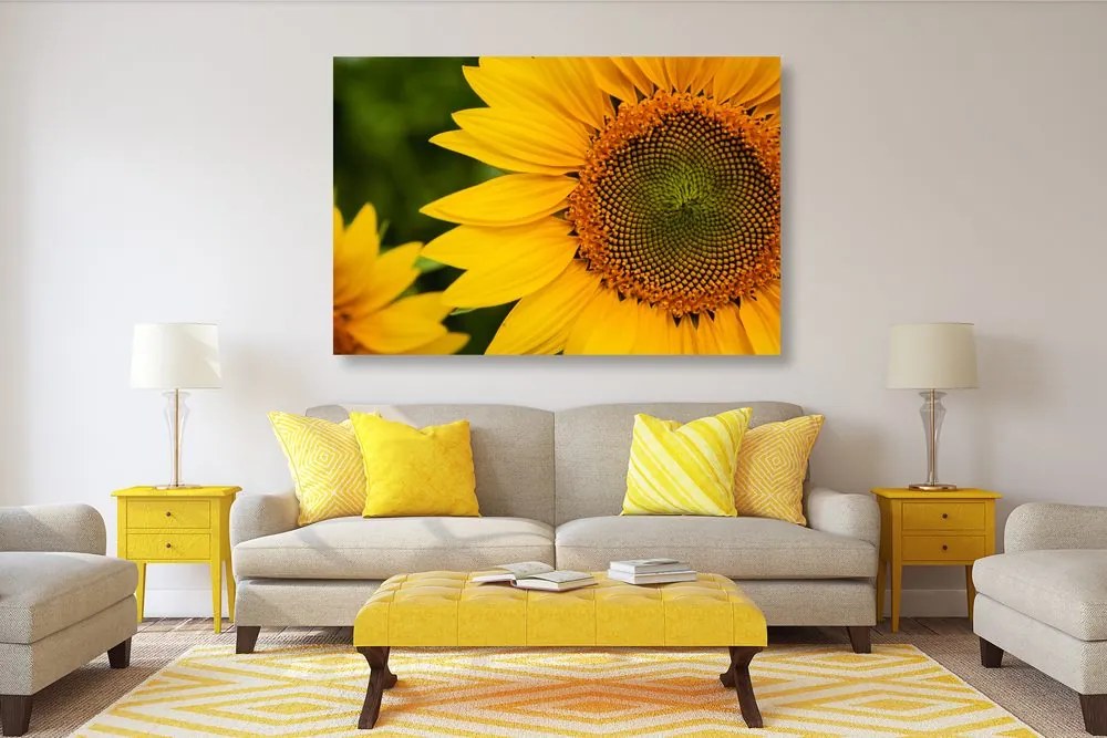 Stampa su tela – Girasole giallo