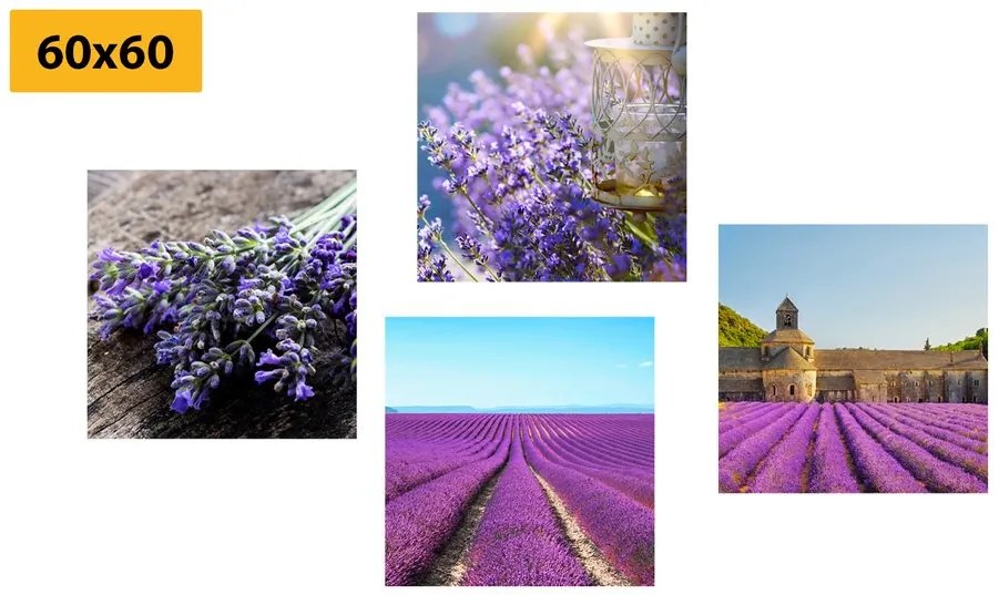 Set di quadri – Bella lavanda