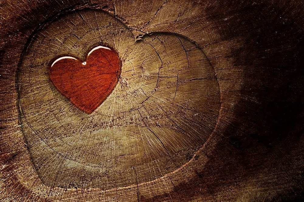 Carta da parati – Cuore sul ceppo