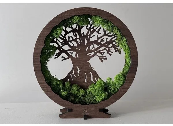 Li-Go 23631/DUB2 - Lampada da tavolo decorativa a LED dimmerabile, 12W/230V, 30×31 cm, finitura rovere