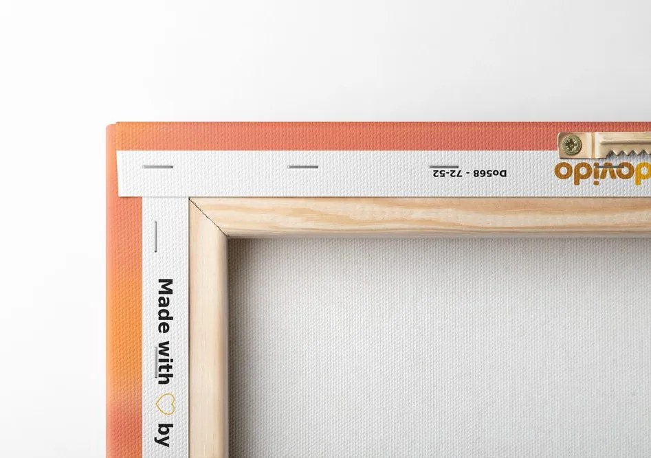 Quadro su tela – Cielo colorato