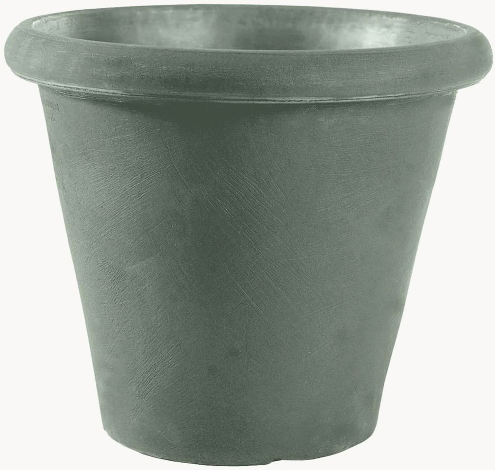 Portavaso Camelia