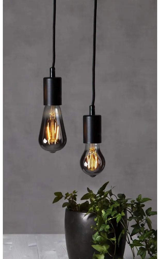 Lampadina a filamento LED calda E27, 2 W Plain Smoke - Star Trading