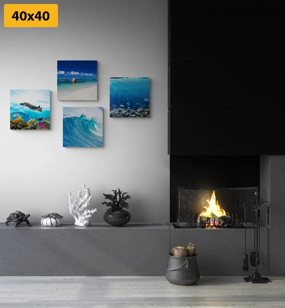 Set di quadri – Mondo marino